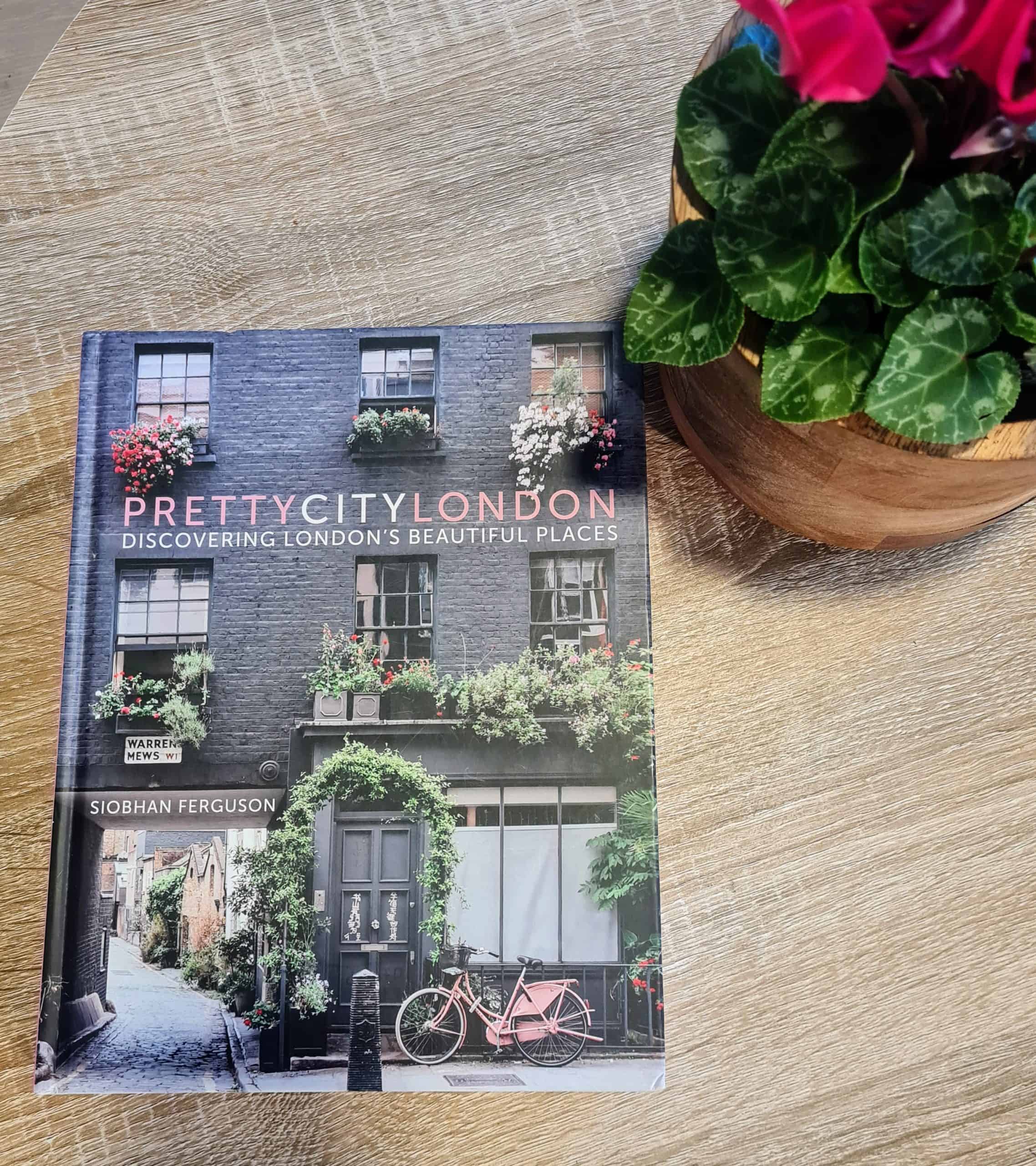 A image of the book pretty city london