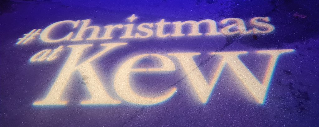 A walkway with the hashtag Christmas at Kew on the ground