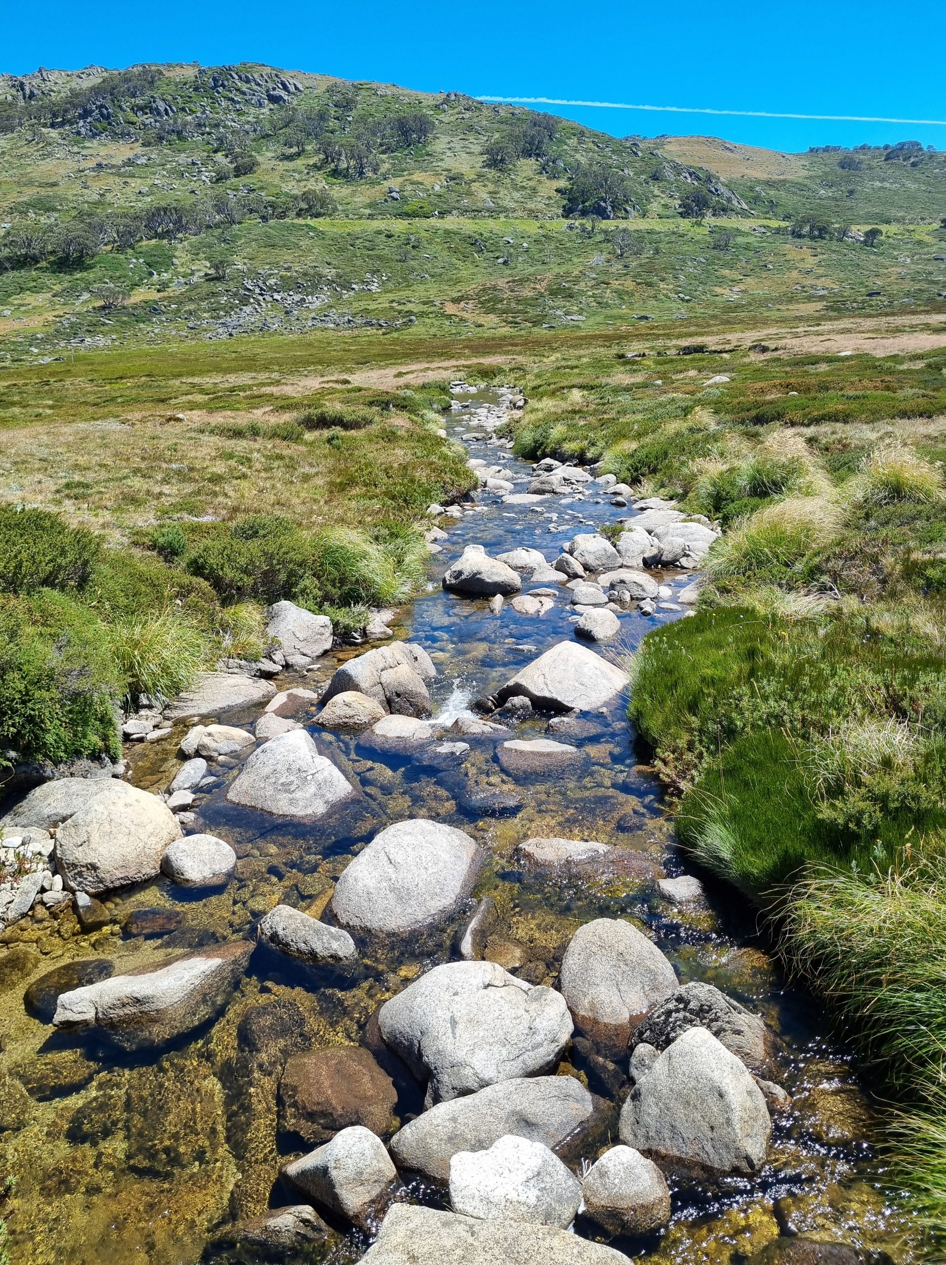 one of the creeks throughout koscuiszko national park running of into the distance with a mountain behind it