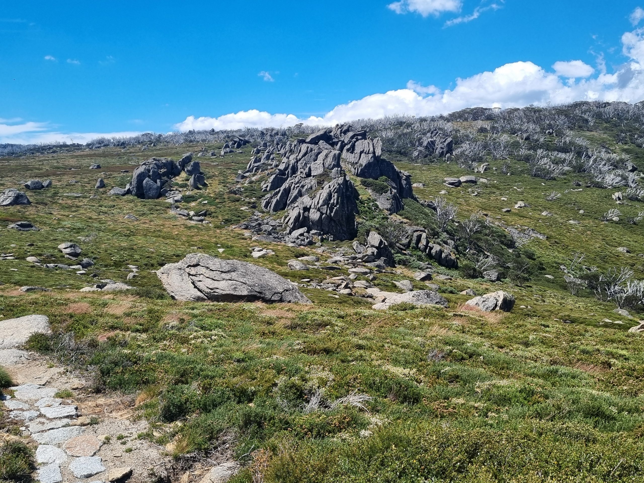 day 3 of the snowies alpine walk with wide open areas with large granite slabs and small shrubs